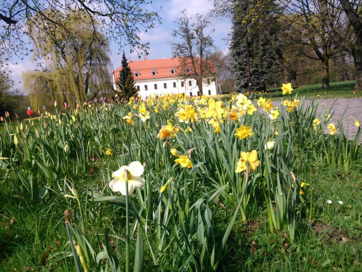 Zámek Havířov Havirov Exterior foto